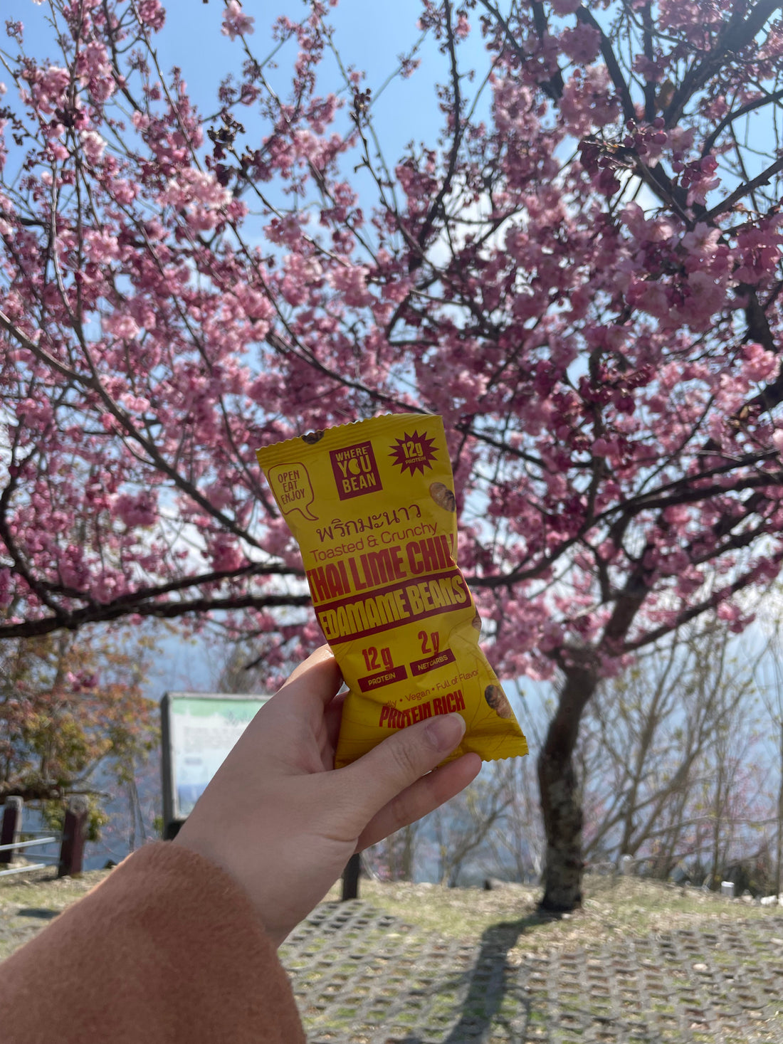 5 Easy Ways to Add More Protein to Your Day: Without Shakes or Bars